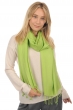 Cashmere & Seta cashmere donna platine verde primavera 204 cm x 92 cm
